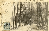 Remiremont. - Allée du Calvaire